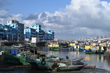 boats in the harbor