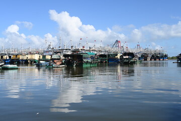 boats in the harbor
