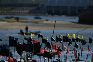 flags of the boats