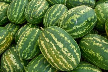 Fresh watermelons at the fruit and vegetable market