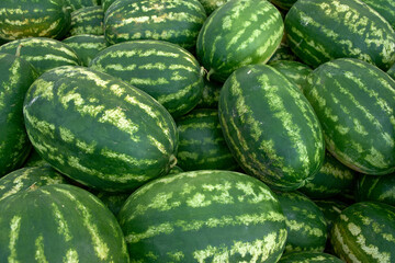Fresh watermelons at the fruit and vegetable market