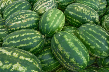 Fresh watermelons at the fruit and vegetable market