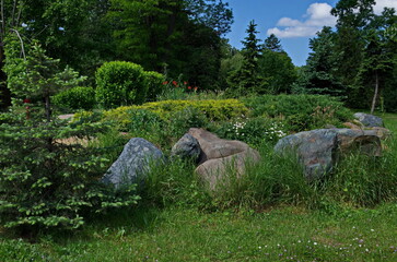 View of a rock garden with large stone blocks, fresh spring trees, shrubs, grasses and blooming flowers in the park, Sofia, Bulgaria 