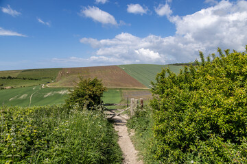 A pathway in the South Downs, on a sunny spring day