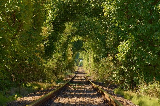 natural tunnel on the railway at Campulung Muscel