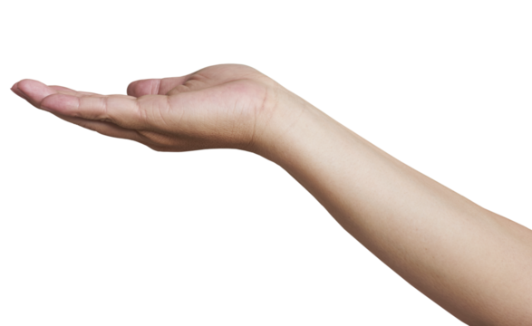 Open hand showing, giving, receiving or holding something on transparent background