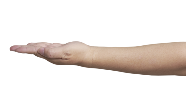 Open hand showing or holding something on transparent background