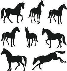 silhouettes of horses a diverse collection