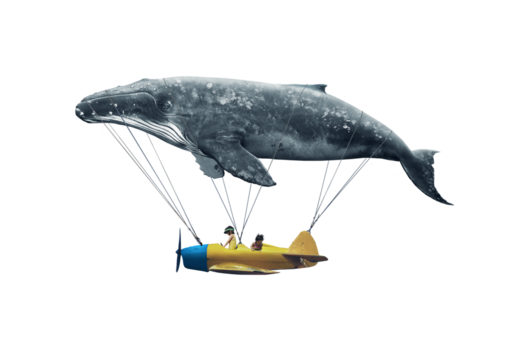 Gray whale lifting airplane with little pilots on transparent background