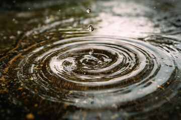A small drop of water is falling into a large puddle