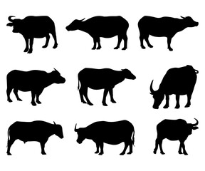 silhouette animal buffalo collection set
