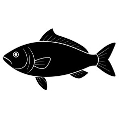 fish fillet on white background .svg