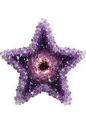 Purple Starfish Crystal