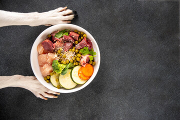 BARF food healthy bowl for domestic pets background