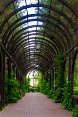 large arch in the park, architectural arch, structure in the park