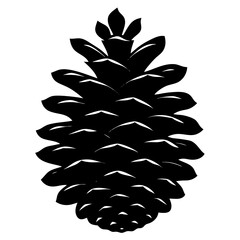 pine cone on white background 