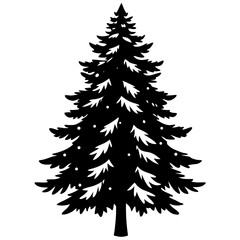 snow covered pine tree on white background  