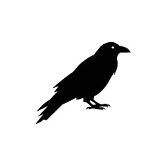 Fototapeta premium Crow Silhouette Illustration for Nature and Wildlife Use 