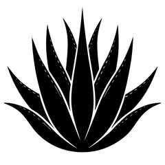 aloe vera leaf on white background .svg