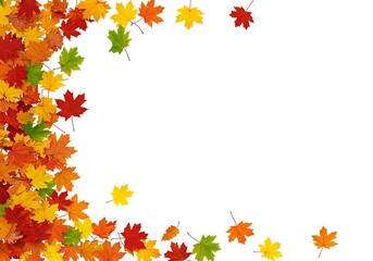 Autumn maple leaves isolated on white background