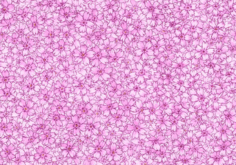 シームレスな芝桜の背景素材