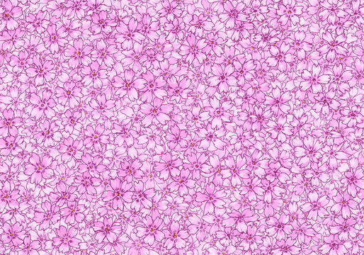 シームレスな芝桜の背景素材