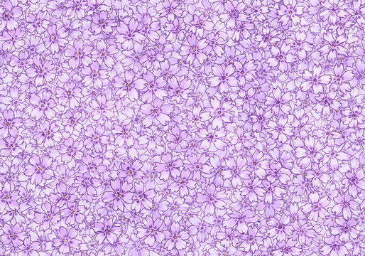 シームレスな芝桜の背景素材