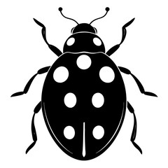 ladybug top view on white background .svg