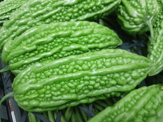 Chinese Bitter Melon vegetable. Healthy nutritional raw food bitter melon. Chinese green bitter melon vegetable. 