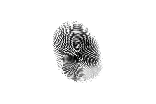 Unique fingerprint design on transparent background for creative use