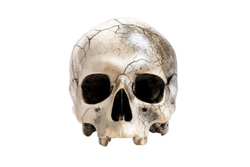 Obraz premium Realistic cracked skull with transparent background for display