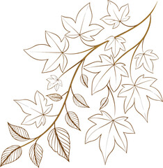 Stylized Leaf Branch Illustration – Elegant Line Art Foliage Design