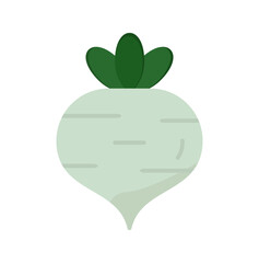 Turnip Vector Icon