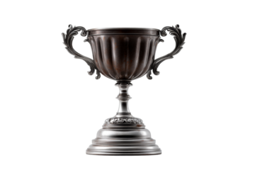 Elegant silver trophy with decorative handles and base