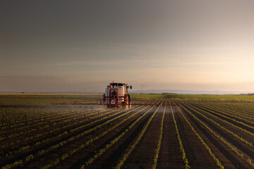 Obraz premium Tractor spraying soybean crops field