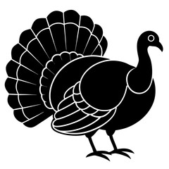 turkey for thanksgiving on white background 