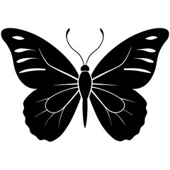 butterfly silhouette on white background  .svg