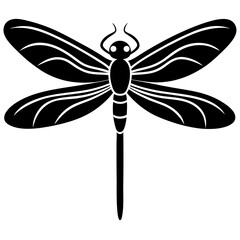 dragonfly vector illustration on white background  