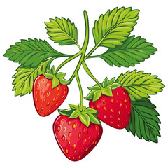 Branch of ripe strawberries color vector illustration. Image of summer red berry with leaves on isolated background. For packaging design and print for clothes