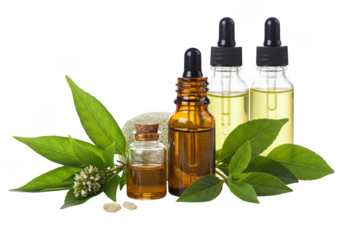Aroma oil bottles with green leaves isolated on transparent background