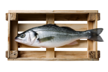 Fresh fish resting on a wooden crate ready for preparation