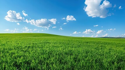 Obraz premium Exploring an open field with rolling green hills under a cloudy sky nature photography serene landscape wide angle view