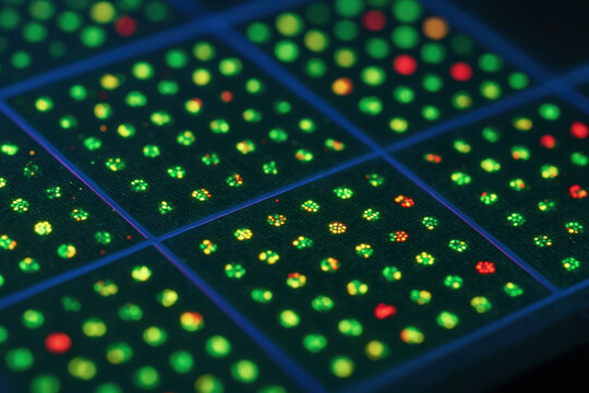 Bioengineering innovation is reflected in this close up of microarray technology used for advanced scientific research and data analysis