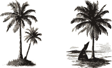 Fototapeta premium Vector hand drawn palms illustration, hippie boho palm tree surfer style doodle, coconut tree silhouette vector illustration