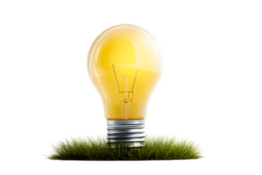 Light bulb on green grass with a transparent background