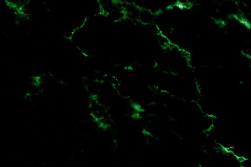 Black marble green pattern luxury texture for do ceramic kitchen light white tile background stone wall granite floor natural seamless style vintage for interior decoration and outside.

