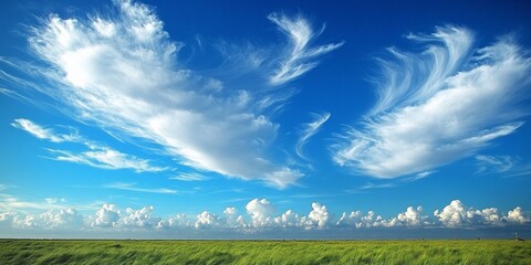 Obraz premium Idyllic Landscape Expansive Green Field Under Fluffy White Clouds in a Vibrant Blue Sky
