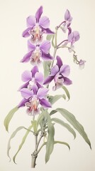 Obraz premium Wood block print illustration of orchid blossom flower plant.