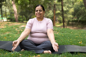 Obraz premium Indian female overweight in training exercise to lose weight on mat looking preview with laptop. woman plus size training online practice yoga in park
