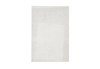 Paper piece isolated on background. Old sheet torn blank texture. Card board ripped template white...